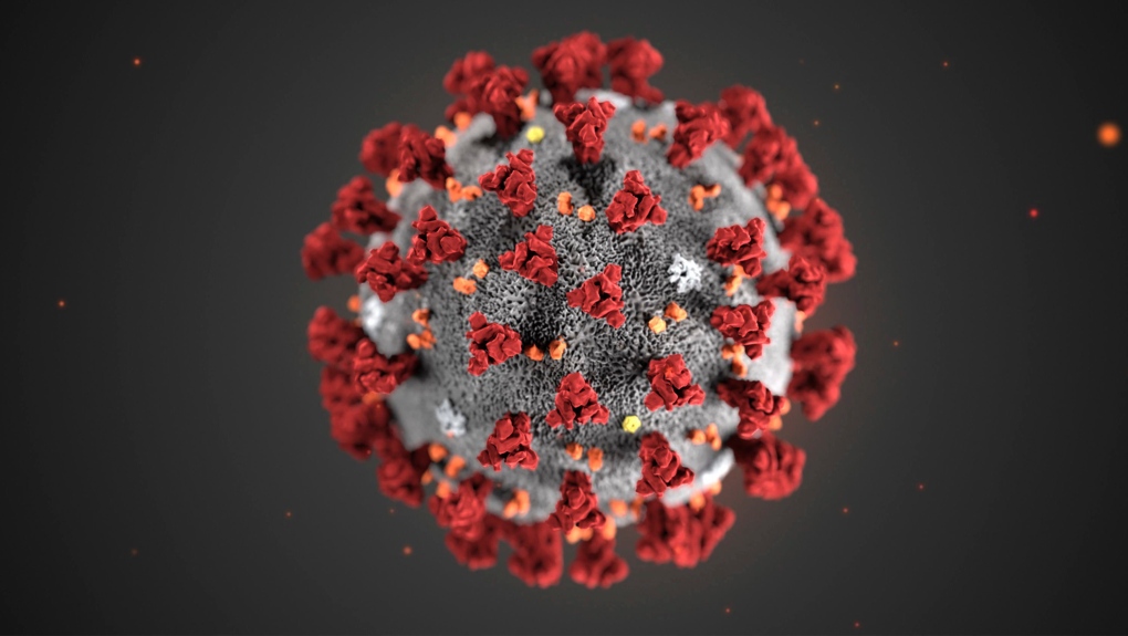 Virus